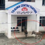 PicsArt_1434124980942-740388