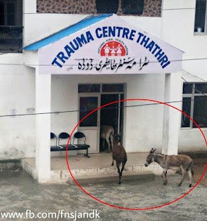 PicsArt_1434124980942-740388